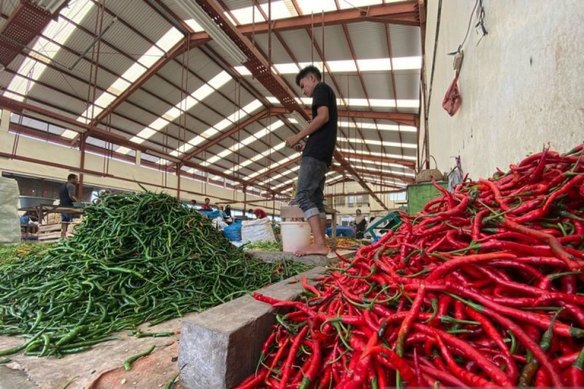 Harga cabai merah di Aceh turun jadi Rp60 ribu per Kg