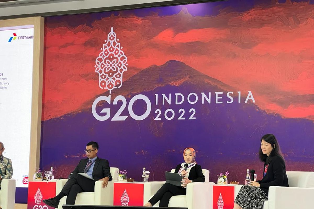 Energy transition collaboration to tackle global warming: Pertamina