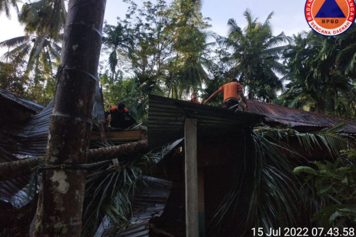 BPBD Padang Pariaman catat tiga titik pohon tumbang akibat angin kencang pada Kamis malam