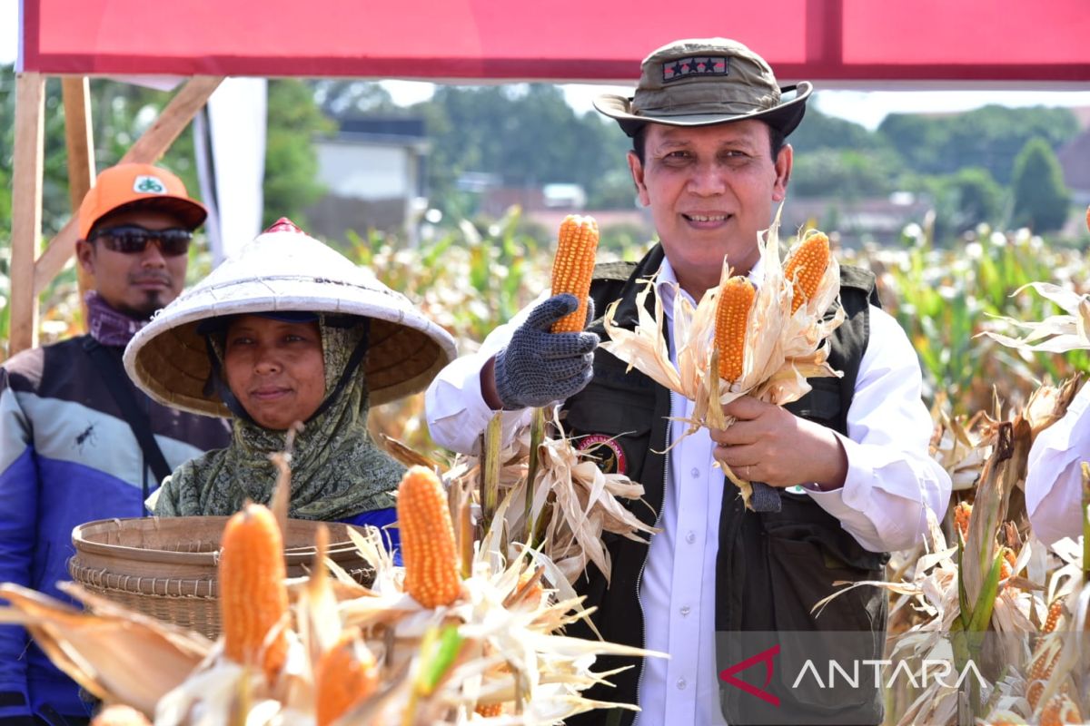 Program deradikalisasi BNPT di Malang mulai membuahkan hasil