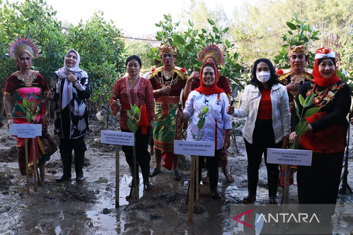 Menteri PPPA ajak perempuan lestarikan lingkungan lewat tanam mangrove