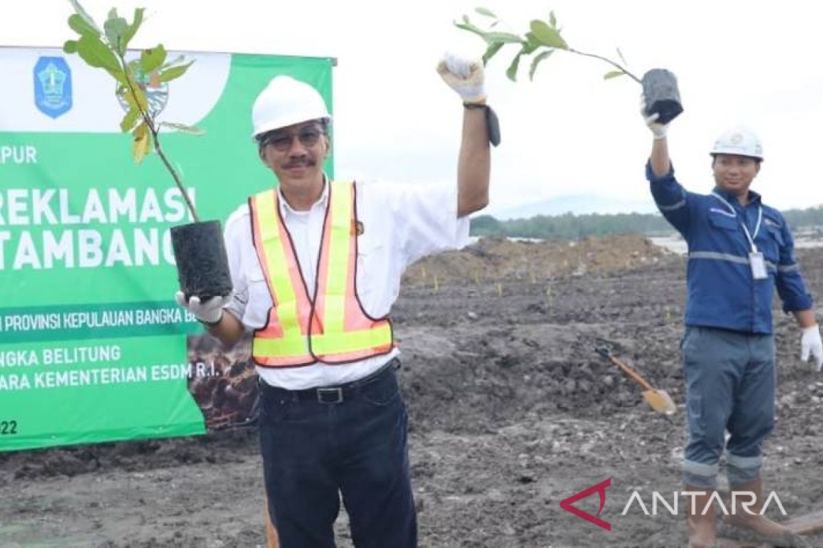 Babel fokuskan reklamasi untuk tekan radiasi lahan bekas tambang