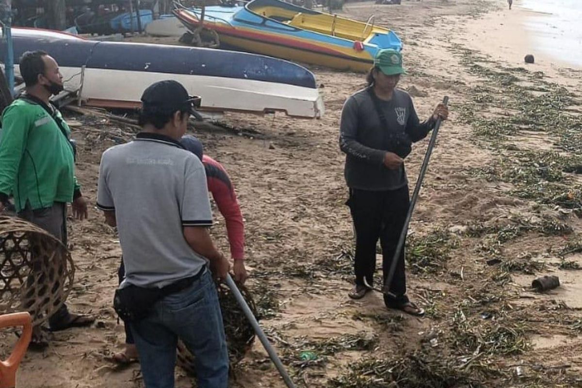 Denpasar authorities clean up Sanur Beach after waste washes ashore