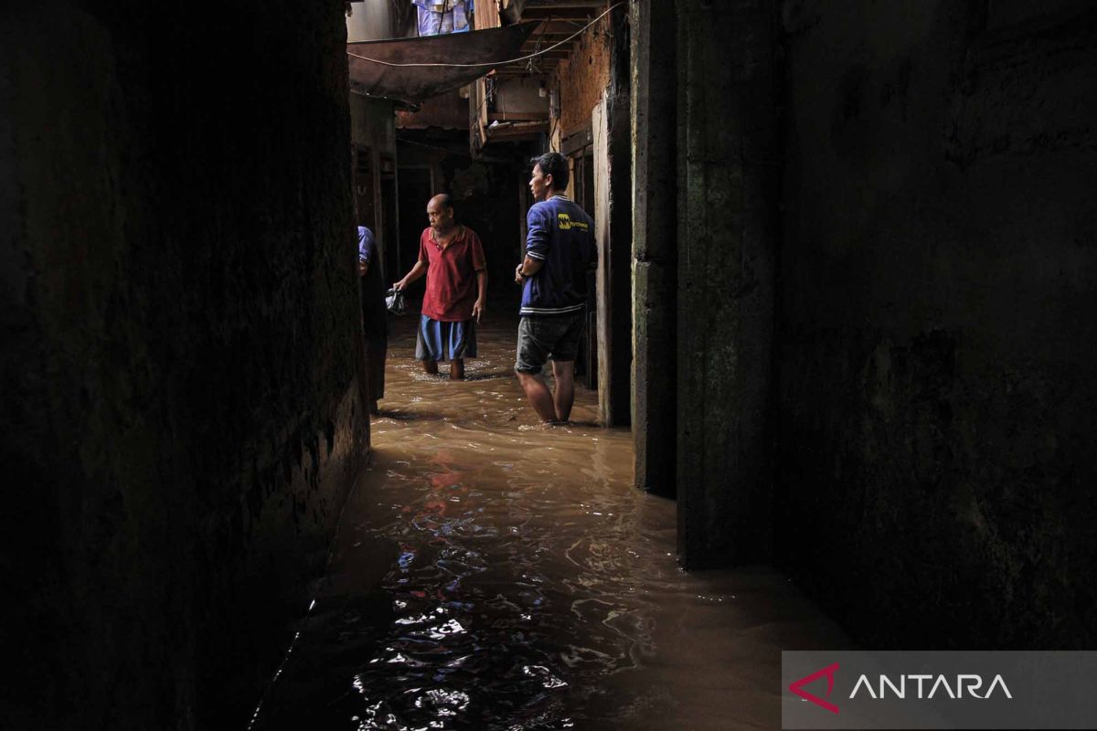 Banjir Kiriman, Sungai Ciliwung Meluap Rendam Kebon Pala Hingga 1,5 ...