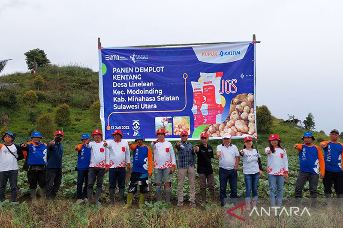 Produk NPK Pupuk Kaltim tingkatkan produksi kentang Minahasa Selatan