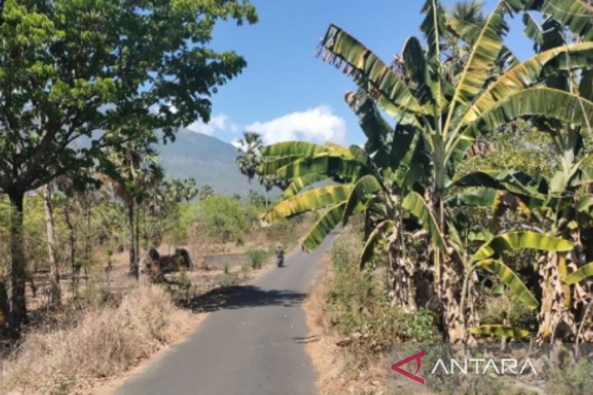 Dua wilayah di NTT berstatus awas kekeringan meteorologis menurut BMKG