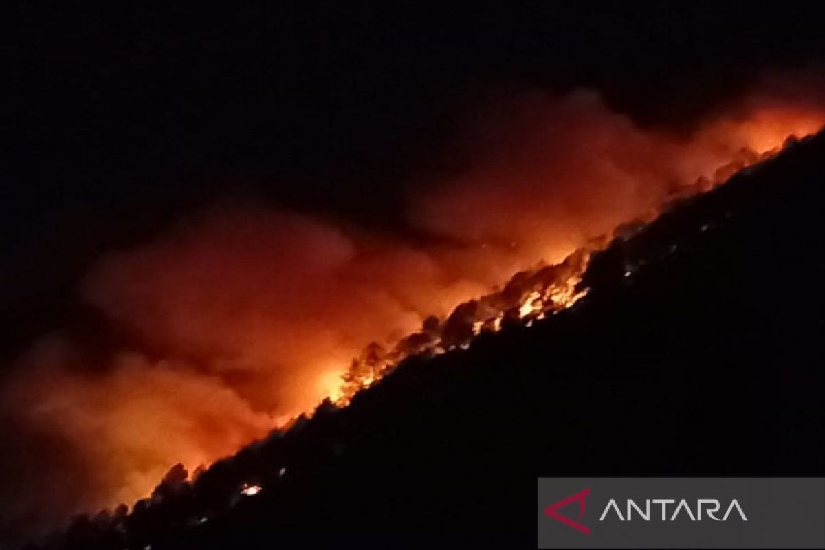 Seorang warga hangus terbakar dalam kebakaran hutan di Muara Taput