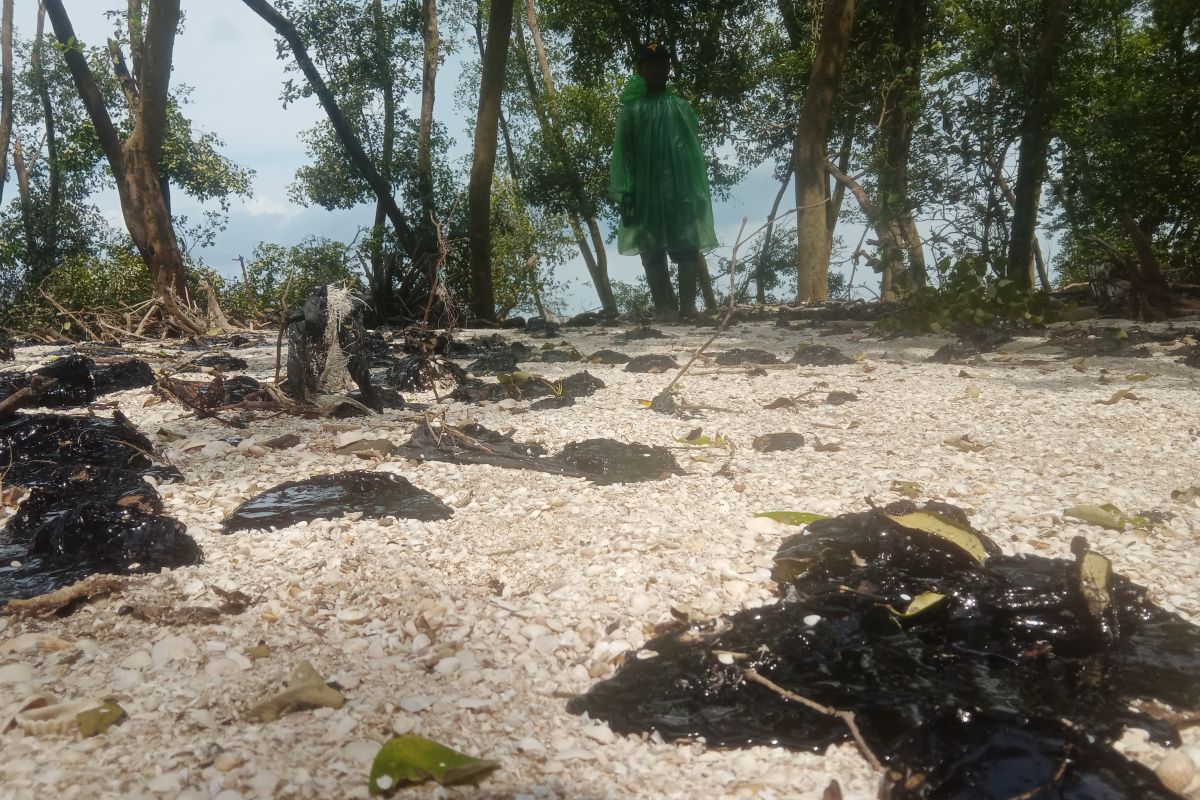 Ceceran minyak di Pantai Lampung Timur dibersihkan