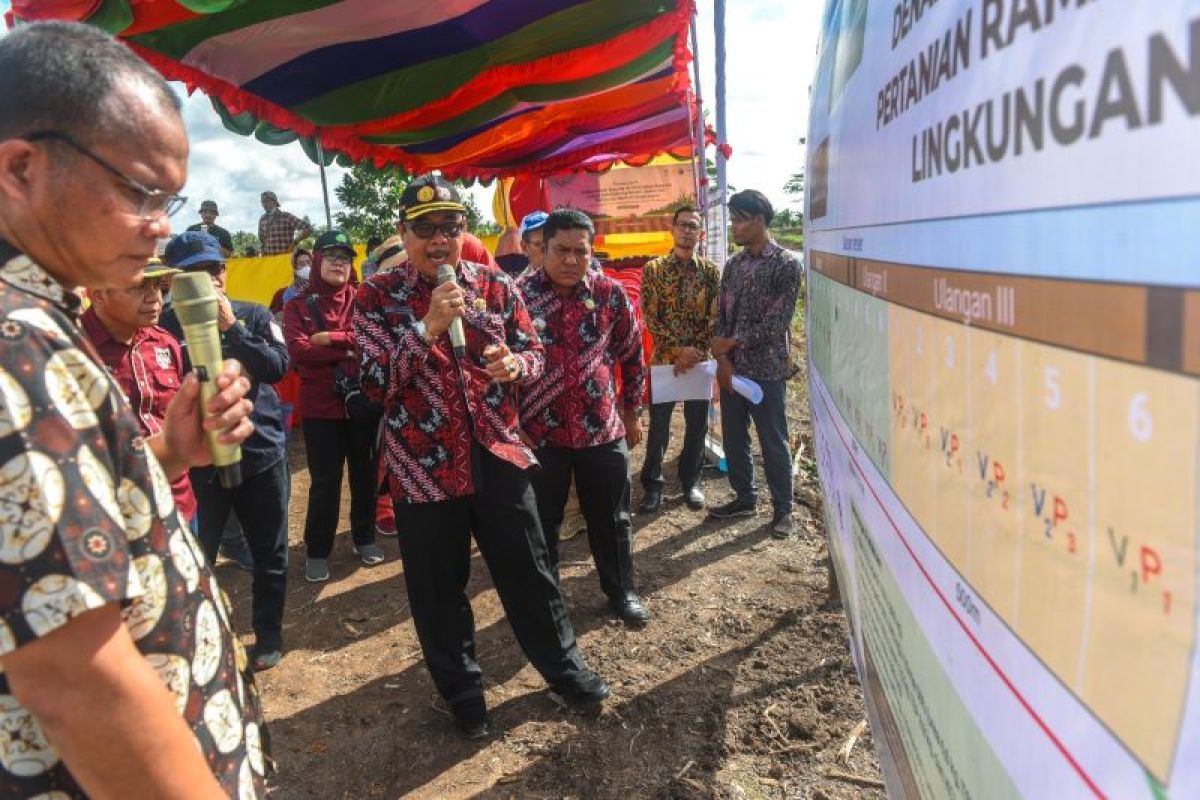 Petani Banyuasin miliki lahan uji coba budi daya jagung dikelola bersama pemerintah dan ICRAF