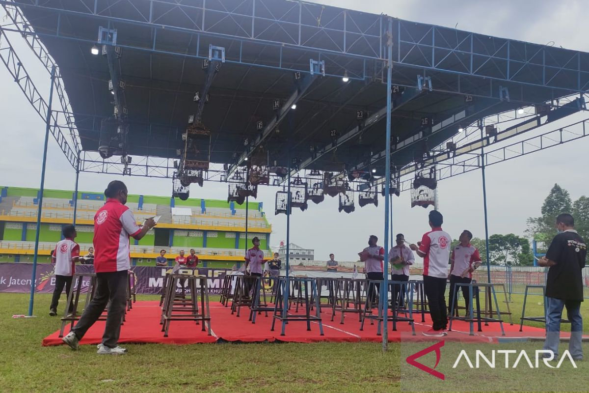 Kudus gelar lomba burung berkicau berhadiah Honda Jazz