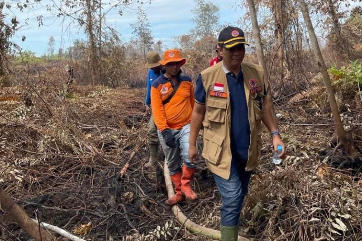 Karhutla Riau melanda di tiga daerah