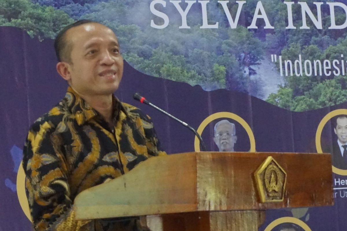 Young forest rangers have crucial role in forestry sector: ministry
