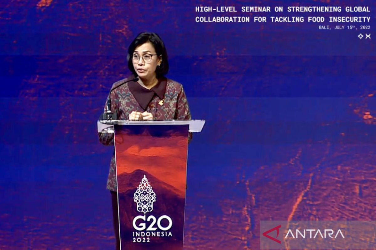 Indonesia pimpin aksi global hadapi kerawanan pangan di FMCGB G20