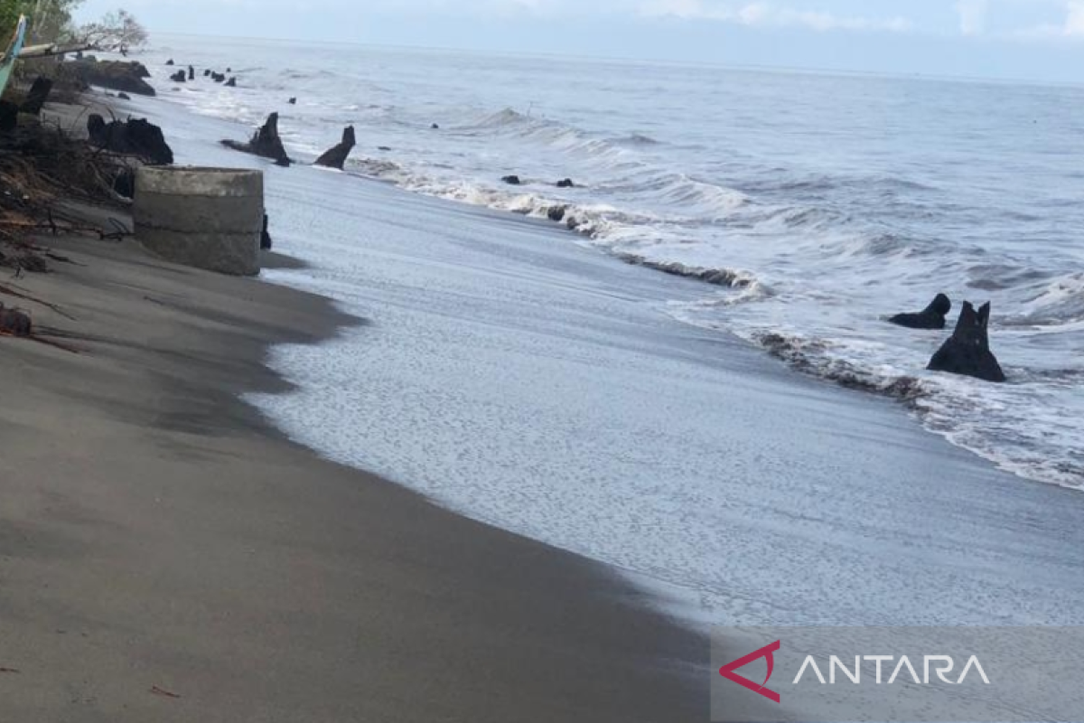 Pantai Masang Agam abrasi sepanjang satu kilometer