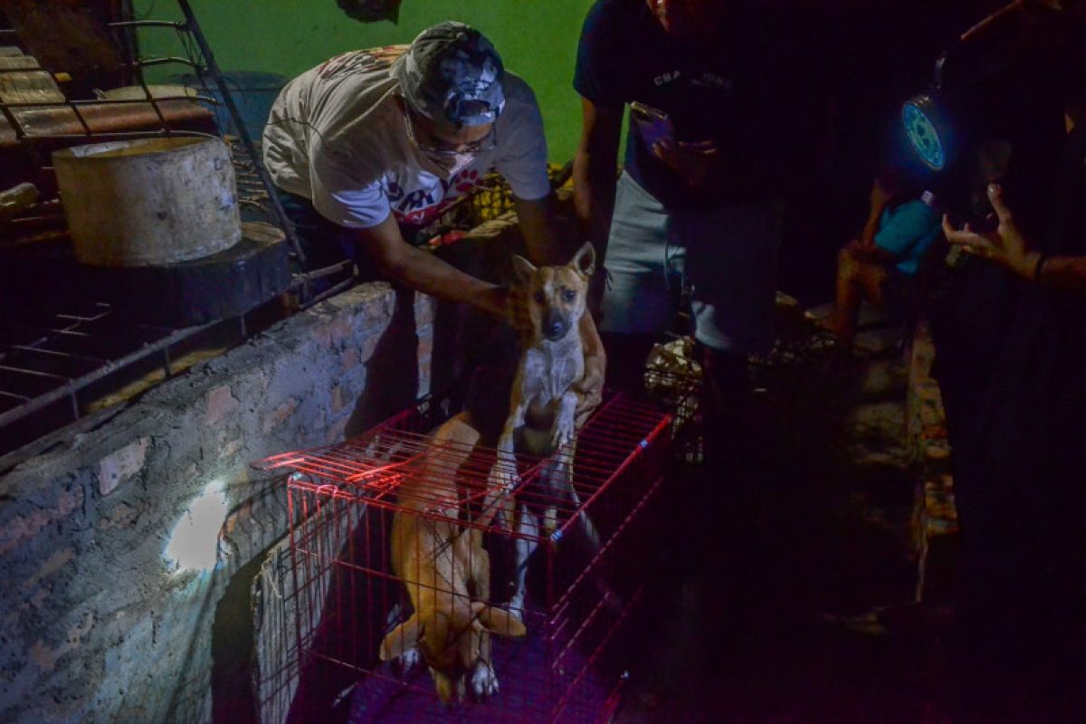 Polisi dan komunitas pecinta hewan di Pekanbaru evakuasi anjing dari rumah jagal