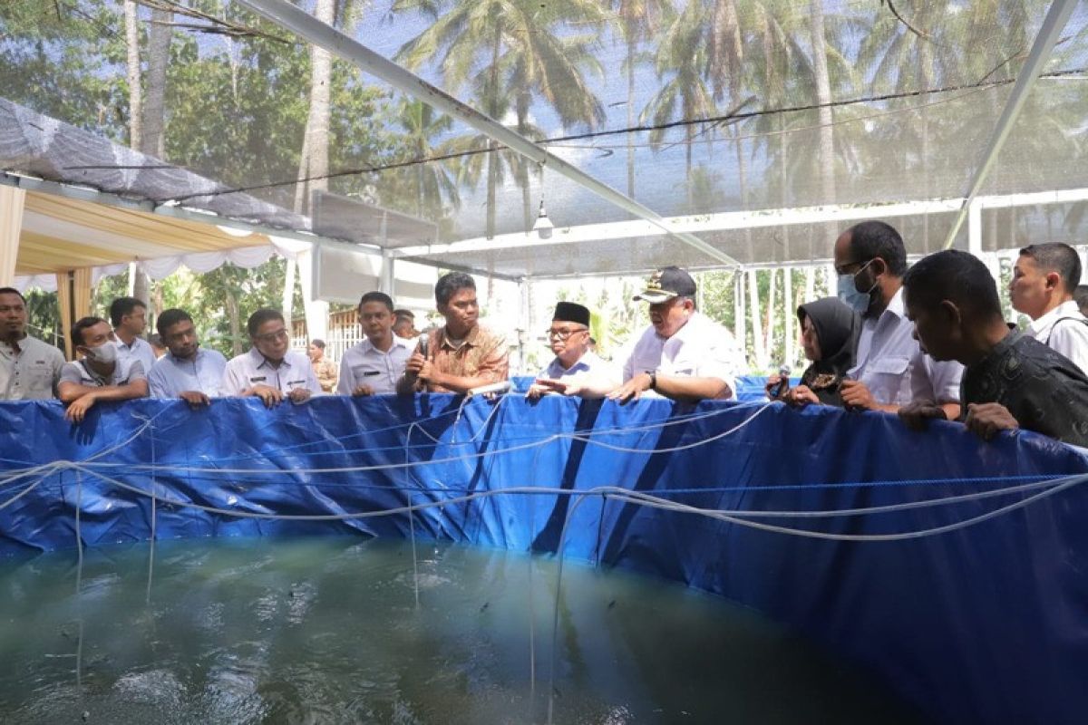 Wako Solok serahkan paket bantuan budidaya ikan sistem bioflok