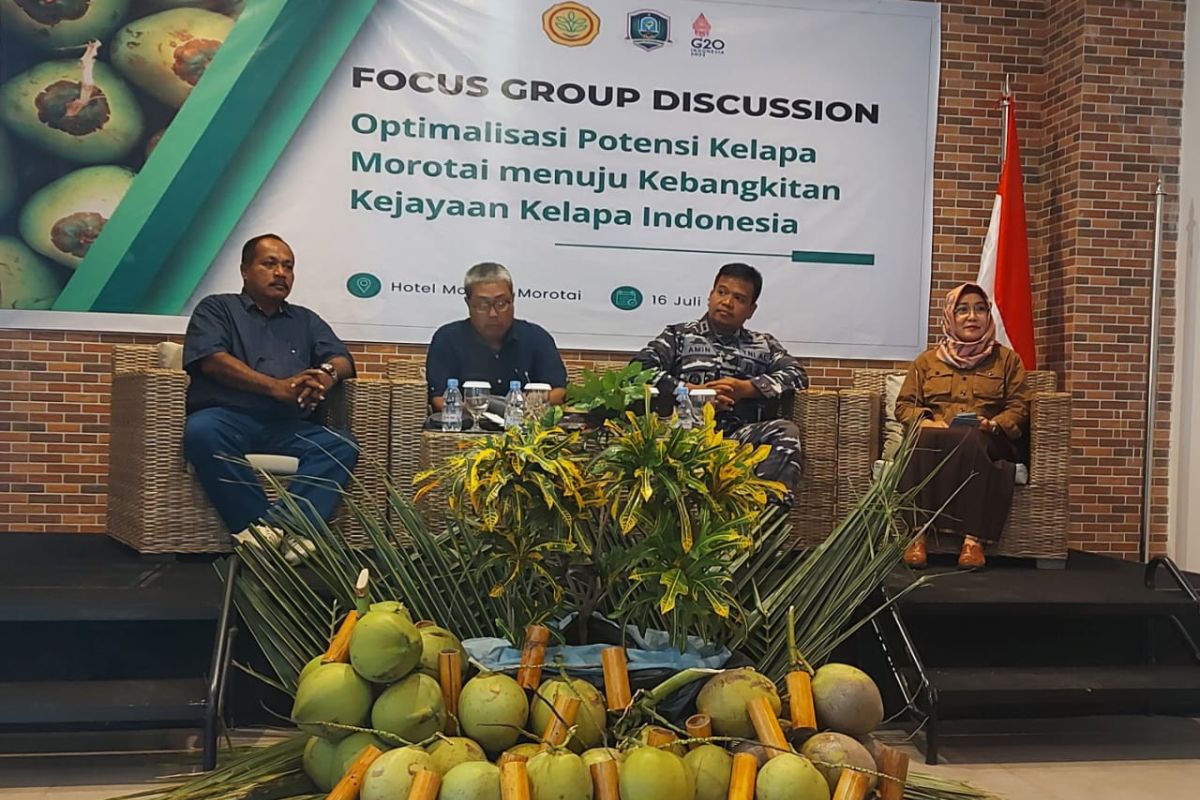 Maluku Utara masuk lima besar penghasil kelapa di Indonesia