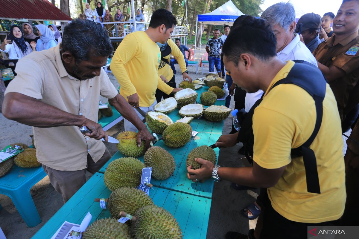 Indonesia bidik ekspor durian senilai 8 miliar dolar AS ke China
