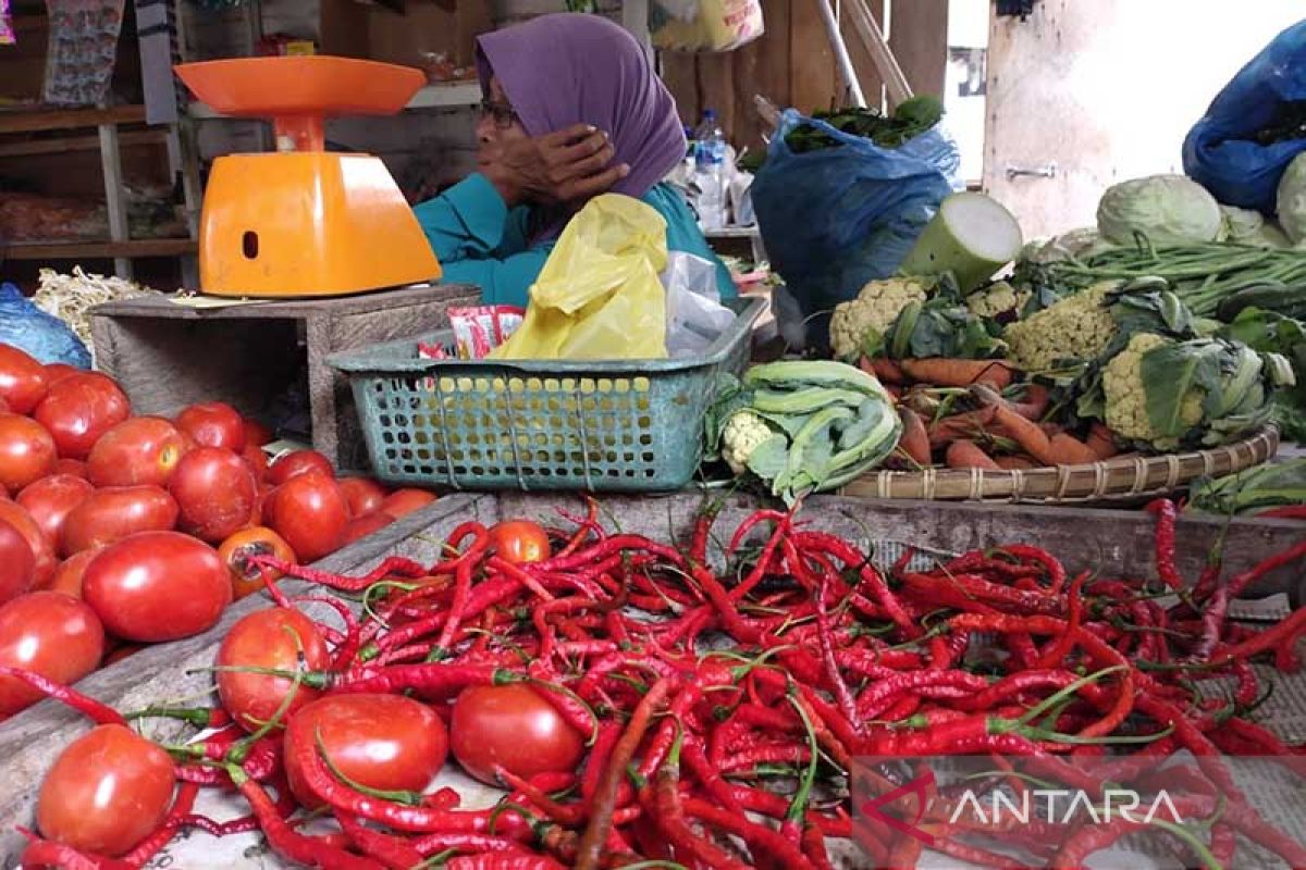 Harga cabai merah di Aceh Timur turun