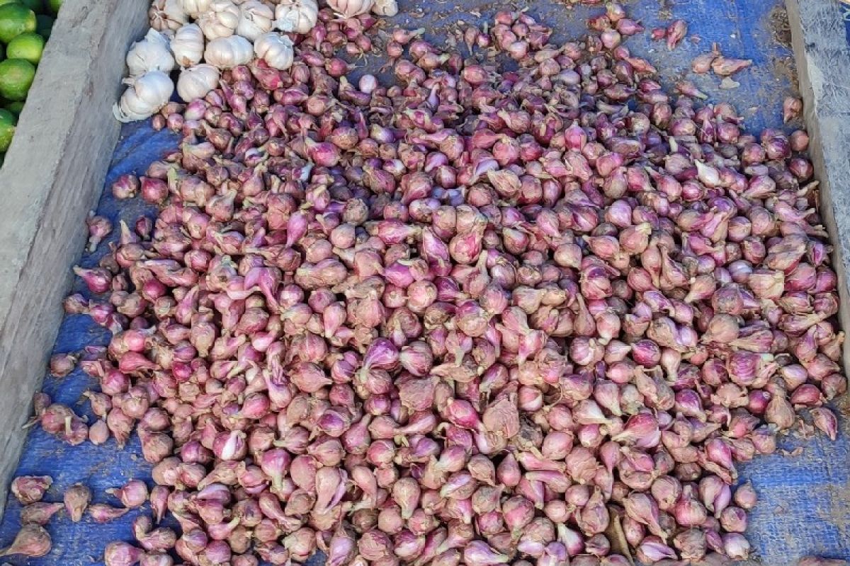 Harga bawang merah di Jayapura masih Rp80 ribu per kilo gram