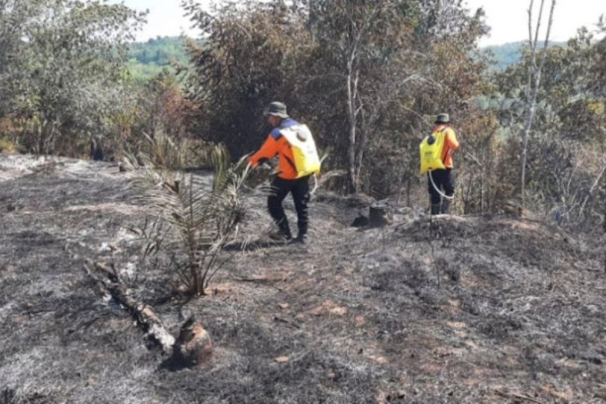 72 titik panas terpantau Riau, asap karhutla mulai tercium