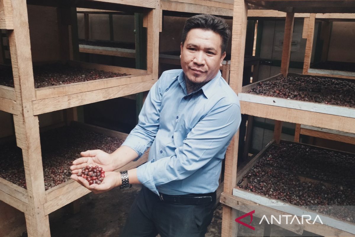 UMKM Bengkulu kembangkan usaha kopi lokal