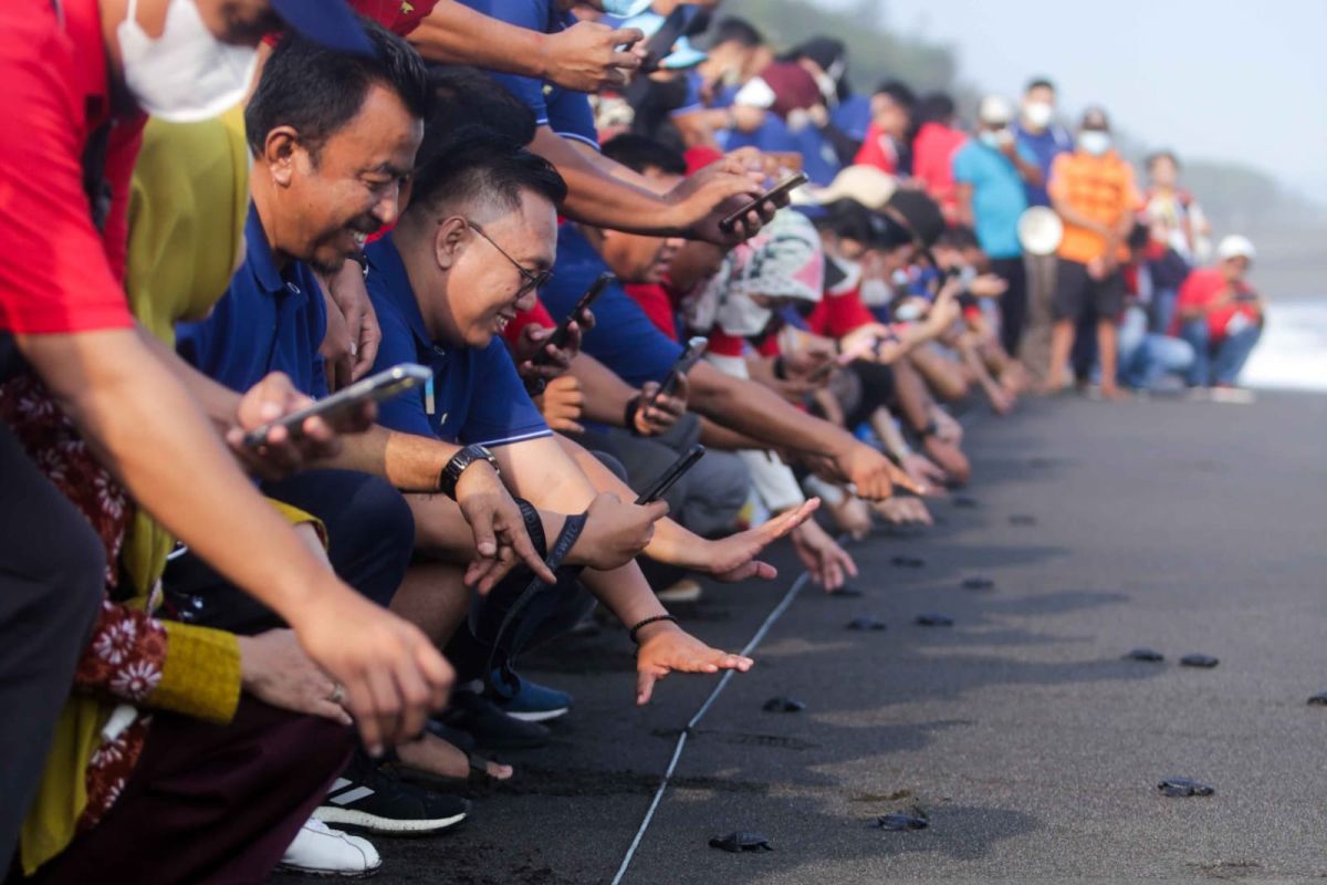 Peduli kelestarian lingkungan pantai, Elnusa Petrofin gelar pelepasan ratusan Tukik