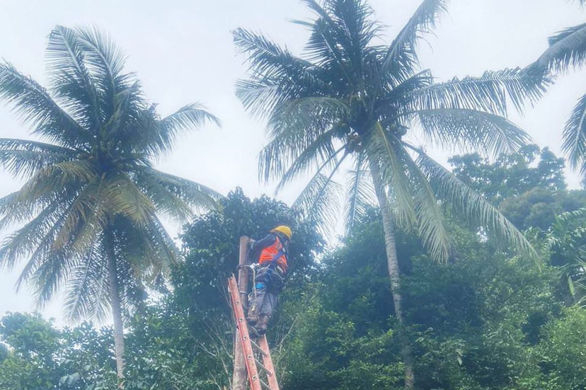 PLN pulihkan jaringan listrik di Seram Bagian Barat dan Maluku Tengah yang rusak akibat cuaca ekstrem