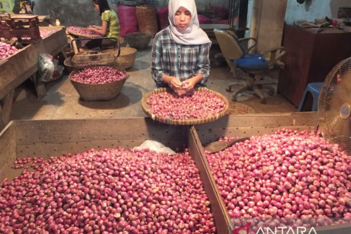 Harga bawang merah di pasar tradisional Jember masih tinggi