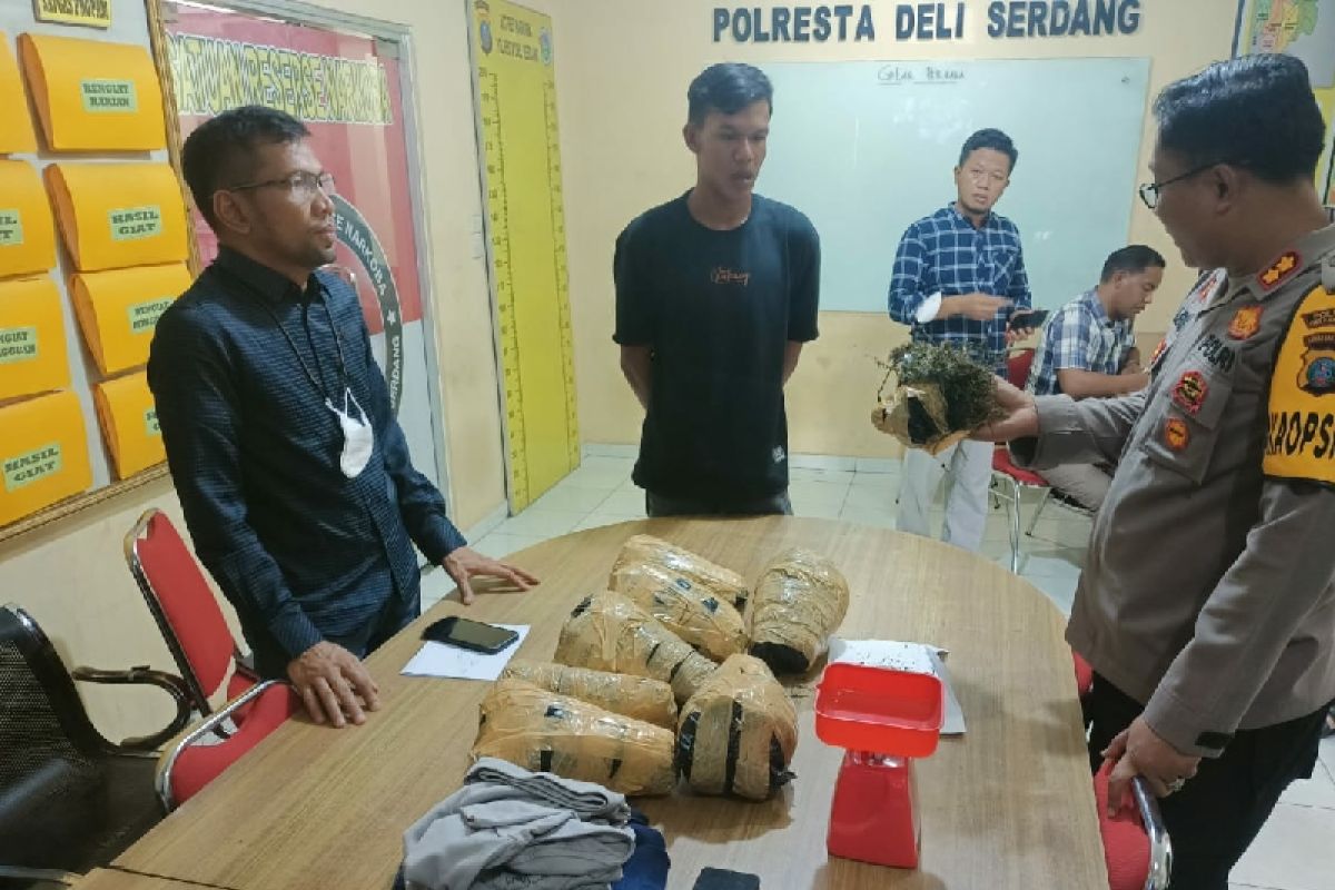 Polresta Deliserdang gagalkan narkotika jaringan Aceh, 7 kilogram ganja diamankan