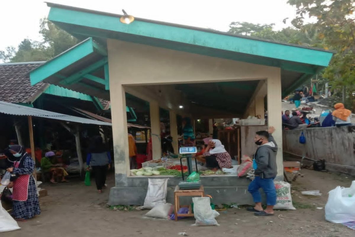 Penuhi kebutuhan, Gunungkidul lakukan gerakan tanam cabai seluas 20 hektare