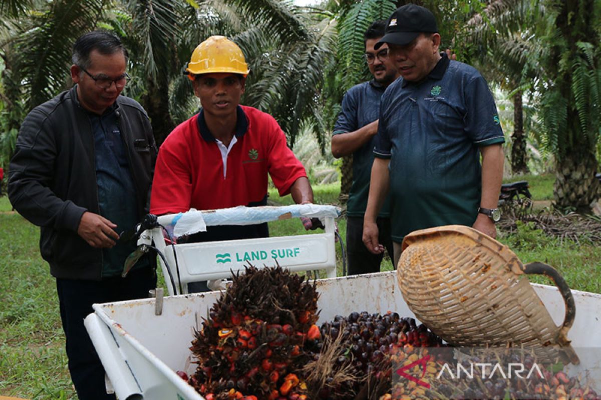 Dubes RI: Malaysia akan sampaikan usulan solusi terkait perekrutan PMI