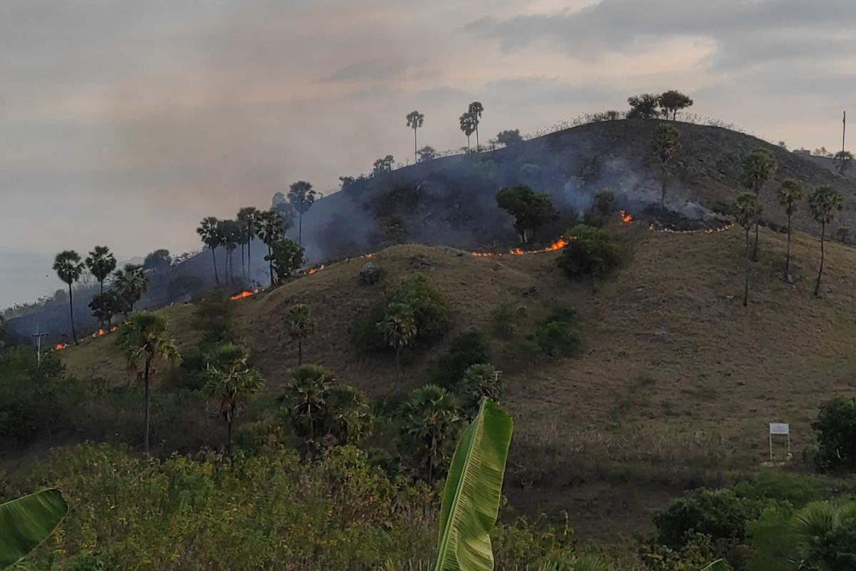 BMKG ingatkan warga NTT antisipasi karhutla di musim kemarau