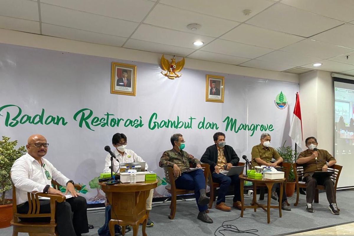 Ministry reports severe damage caused to 206,935 hectares of peatland