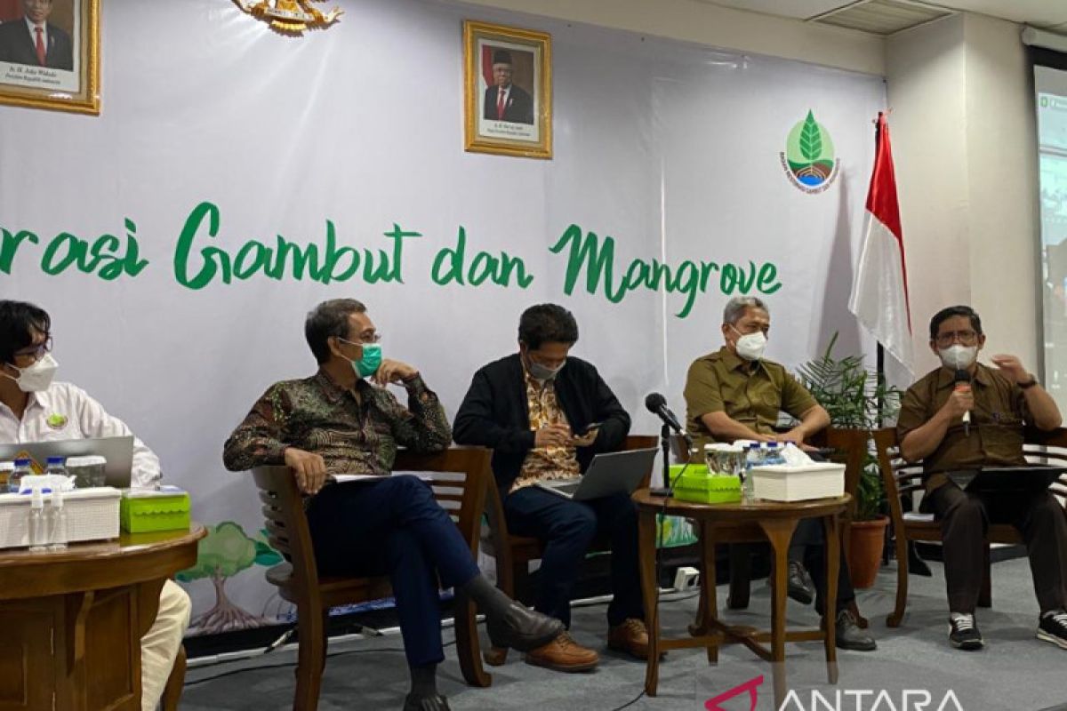 KSP: Pendanaan jadi salah satu tantangan rehabilitasi mangrove