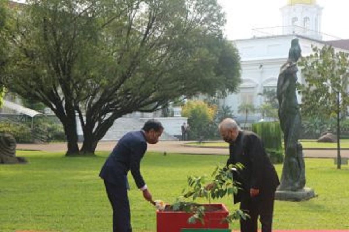 Presiden Jokowi dan Jose Ramos-Horta tanam Pohon Gaharu bersama di Istana Bogor