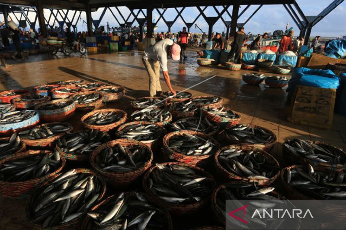 KNTI minta pemerintah permudah akses BBM subsidi bagi nelayan kecil