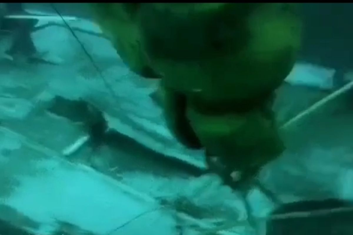 Empat korban dan bangkai kapal KM Cahaya Arafah ditemukan pada kedalaman 45 meter bawah laut