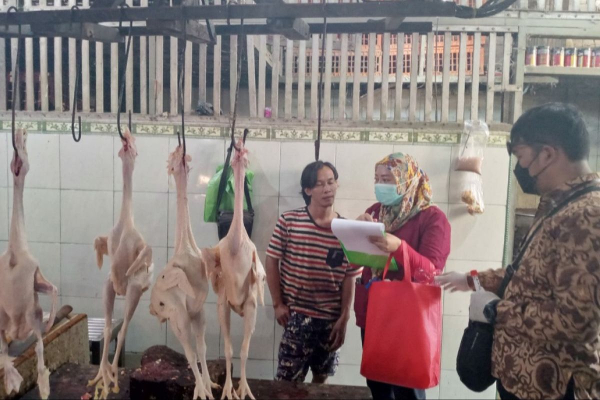 Antisipasi flu burung, DKPP Surabaya ambil sampel unggas di pasar tradisional