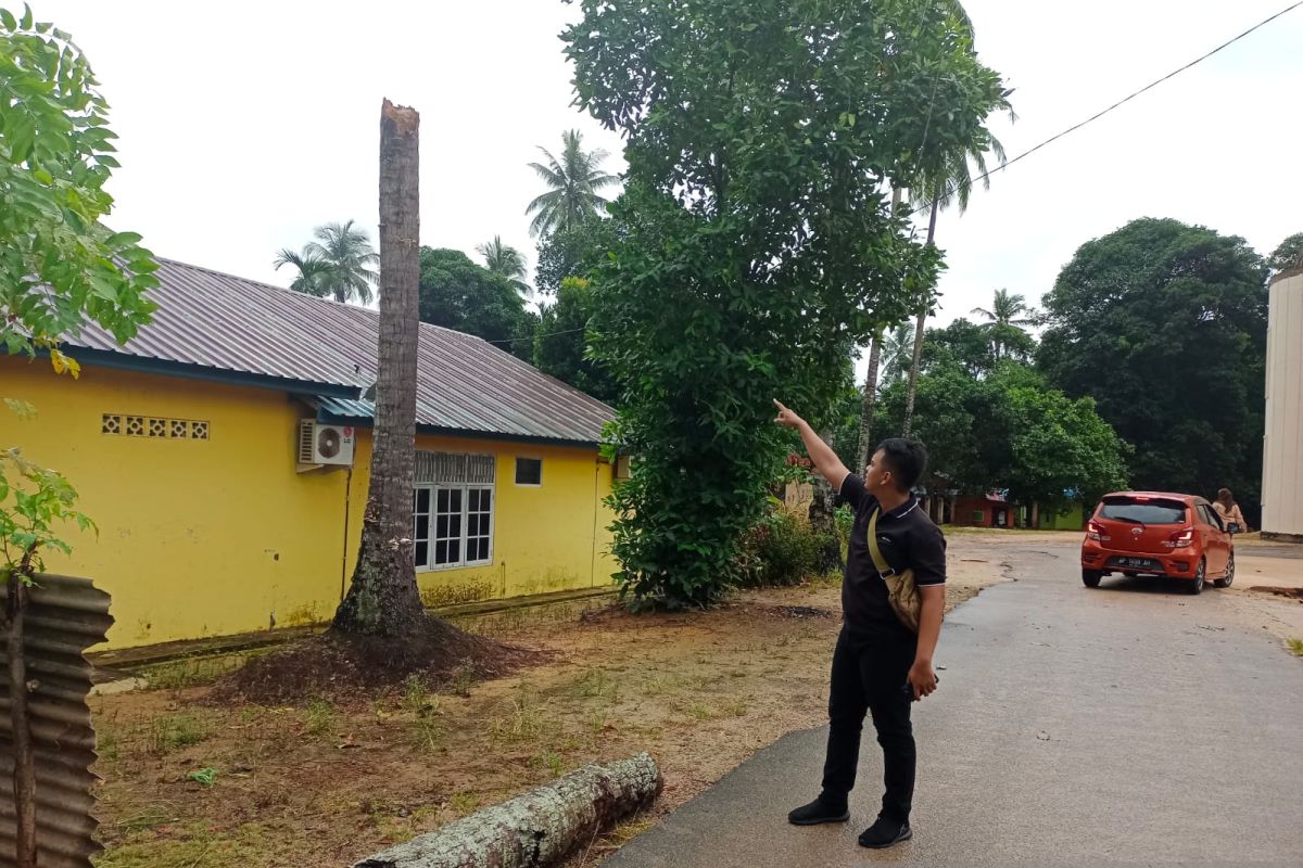 Siswi SMA meninggal dunia tertimpa pohon kelapa akibat cuaca buruk di Batam