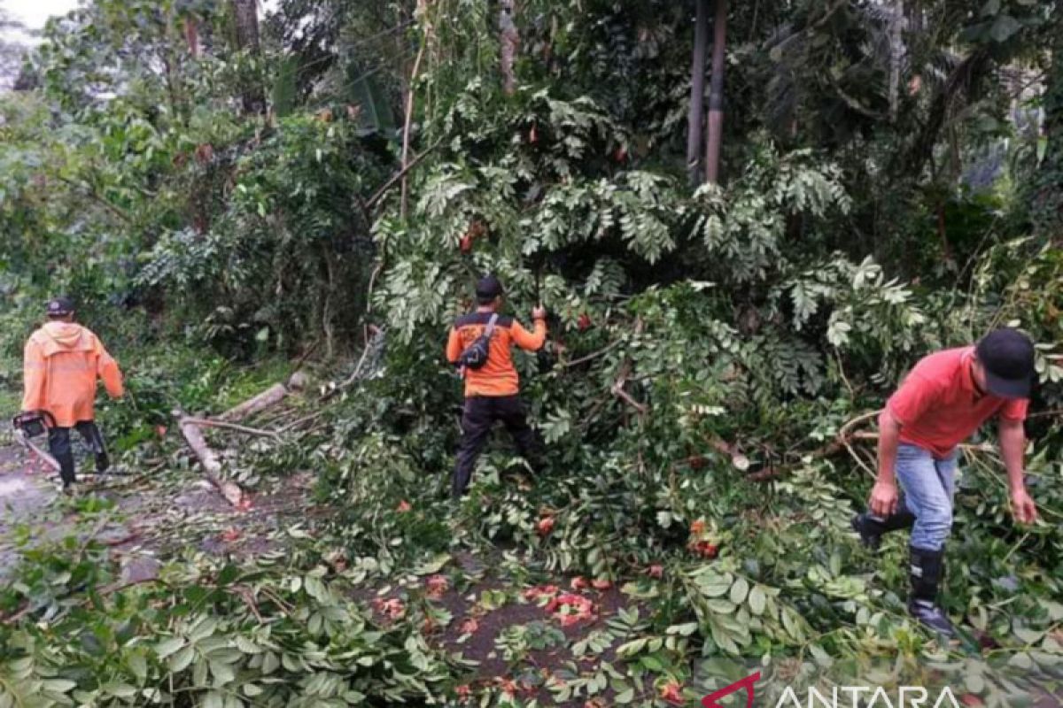 BPBD Minahasa Tenggara meminta warga waspadai cuaca ekstrem