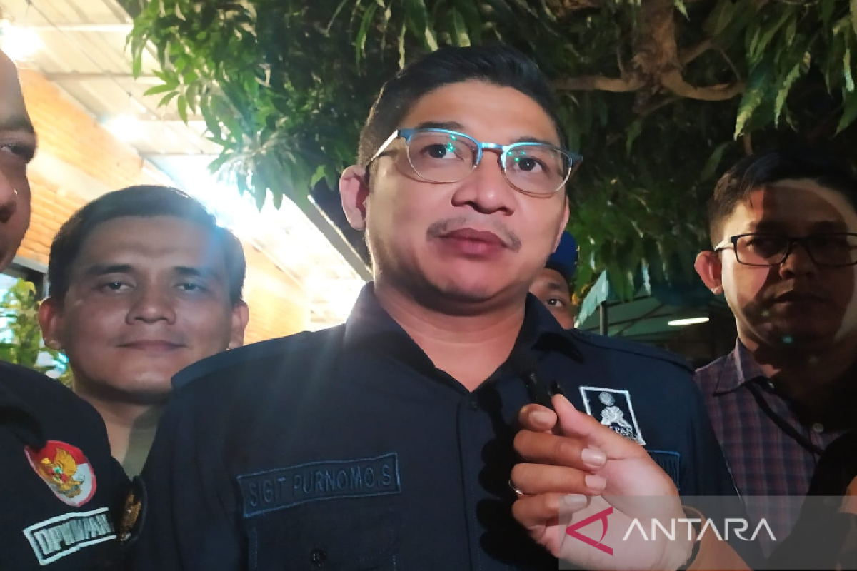 Klaim dapat dukungan dari Ketum PAN Zulhas, Pasha Ungu maju jadi anggota DPR di Jakarta