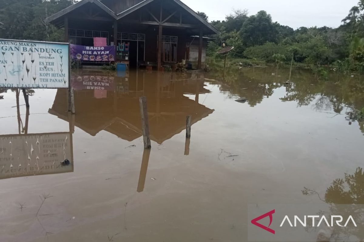 BPBD Papua Barat: Pemkab-Pemkot antisipasi cuaca ekstrim