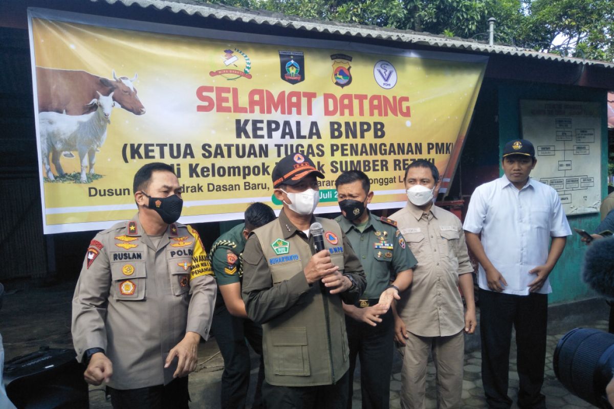 BNPB nyatakan peternak terdampak PMK dibantu Rp10 Juta