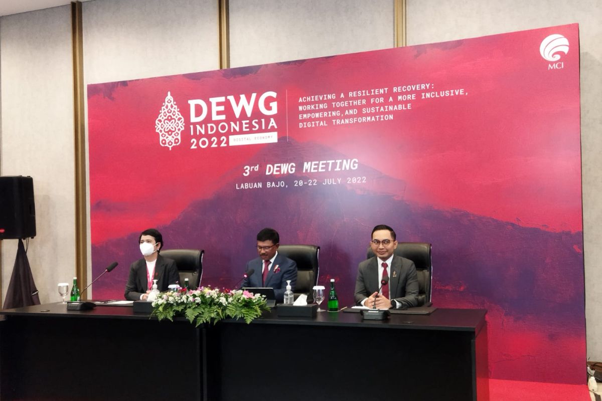 DEWG G20 Indonesia bahas tata kelola data lintas negara