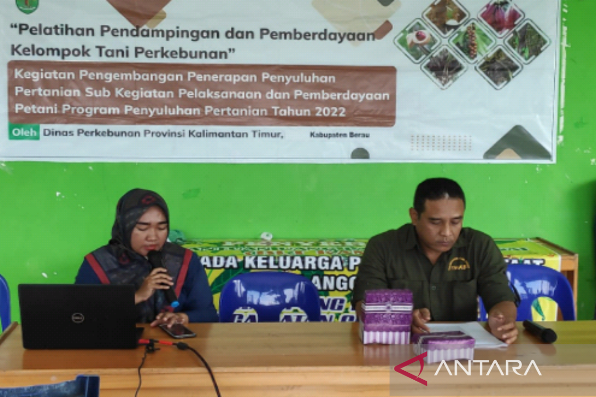 Disbun Kaltim salurkan 10.000 bibit pala ke petani di Kabupaten Berau