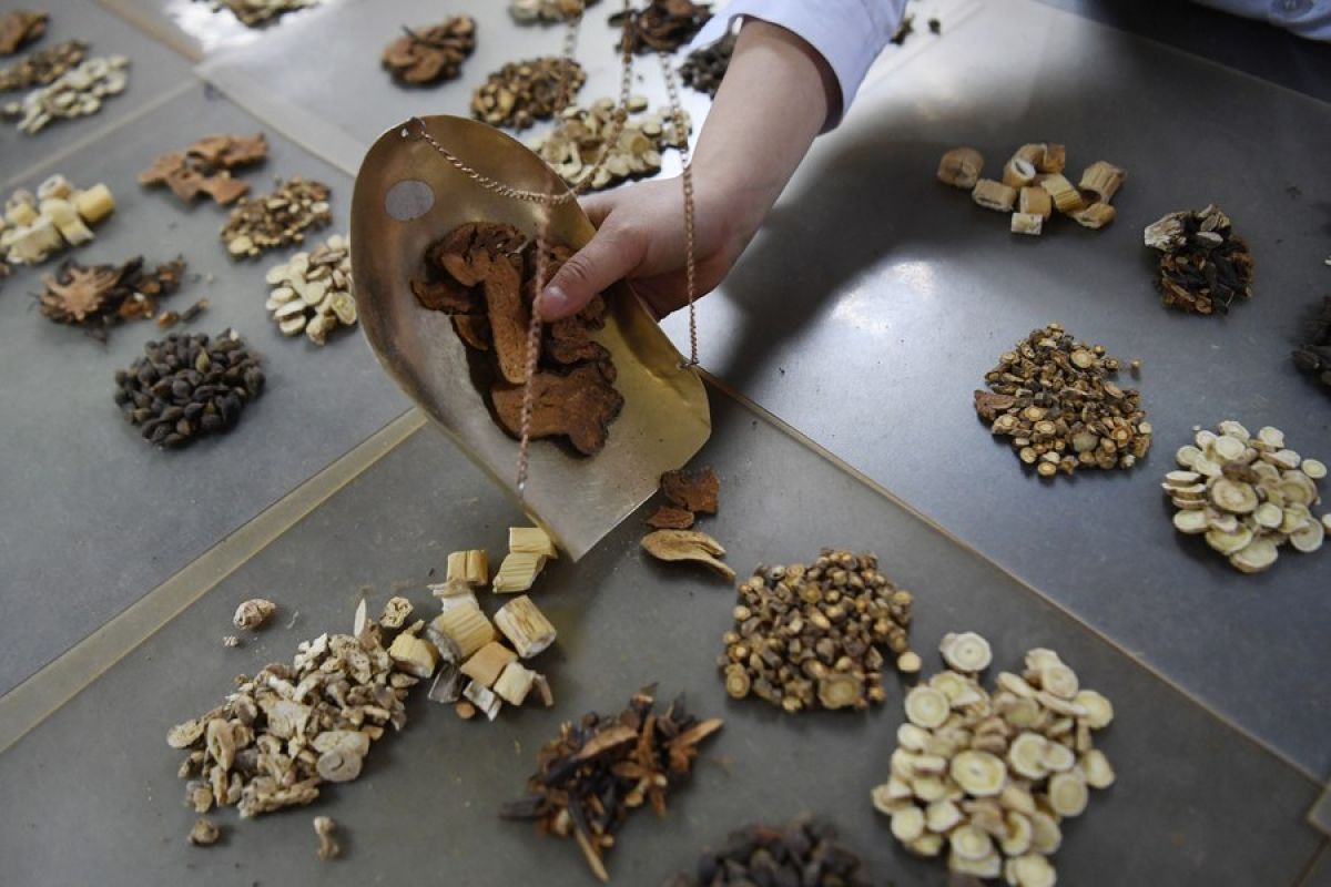 Gansu di China catat pertumbuhan ekspor bahan herbal