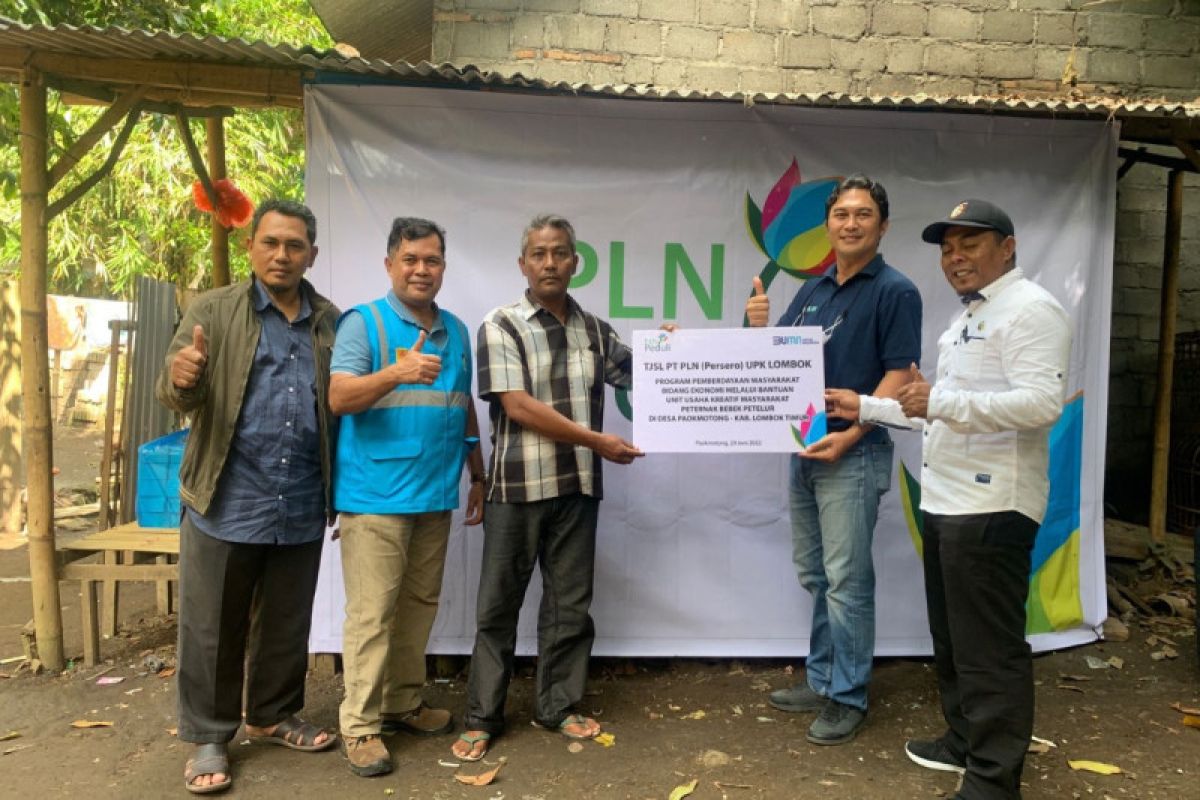 PLN bantu peternak bebek petelur di Lombok Timur