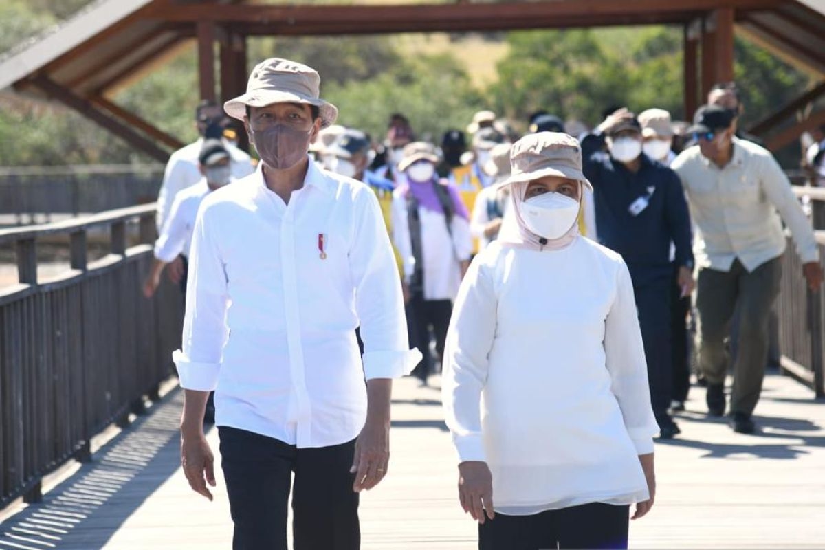 Jokowi-Iriana tinjau hunian wisata Labuan Bajo di NTT