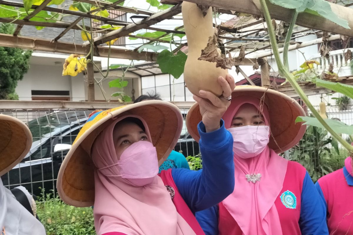 Ribuan ibu rumah tangga di Jakarta Barat ikut Kelas Berkebun